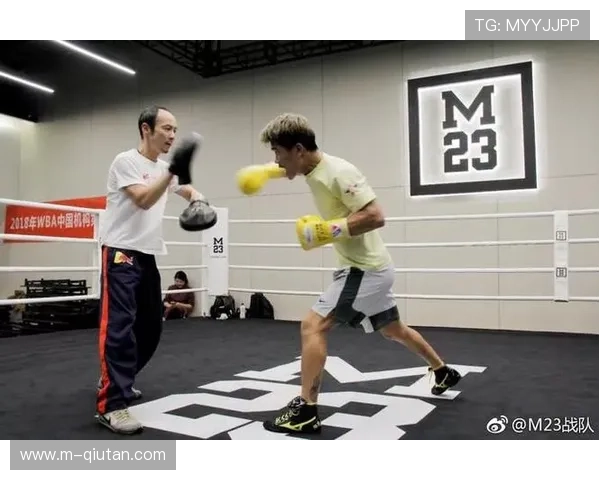 WBO章程第18条曝光揭示拳手被剥夺挑战资格后三十天内不得申诉